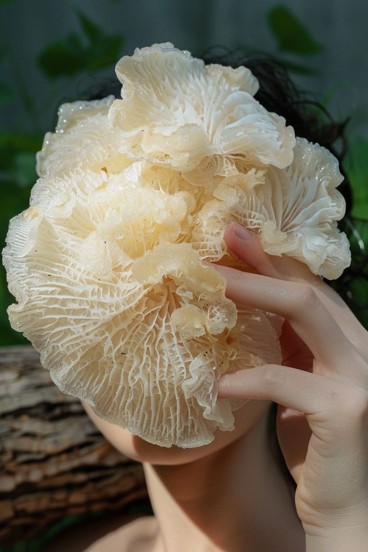 Tremella, Cordyceps, and the Glycerins We Make In-House; Why These Three Define How We Hydrate